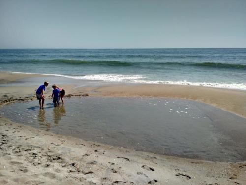 Tide Pool