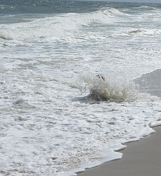 Kids Splashing